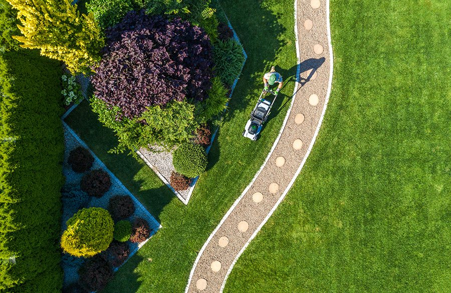 From Weeds to Seeds: How This Lawn Care and Pest Control Client Blossomed with Integrate IQ