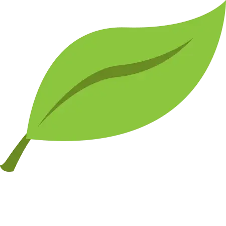 Freshbooks