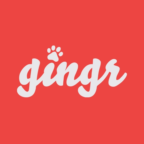 Gingr